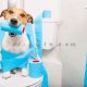 تربیت سگ برای دستشویی