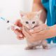 تزریق واکسن حیوانات خانگی
