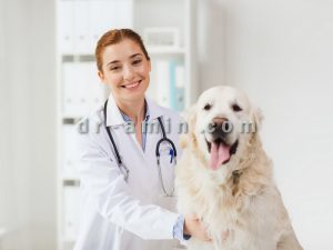 درمان پارواویروس سگ