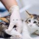 واکسیناسیون گربه خانگی