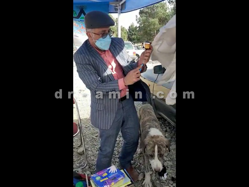 تزریق آمپول ضدکنه سگ توسط دکتر امین